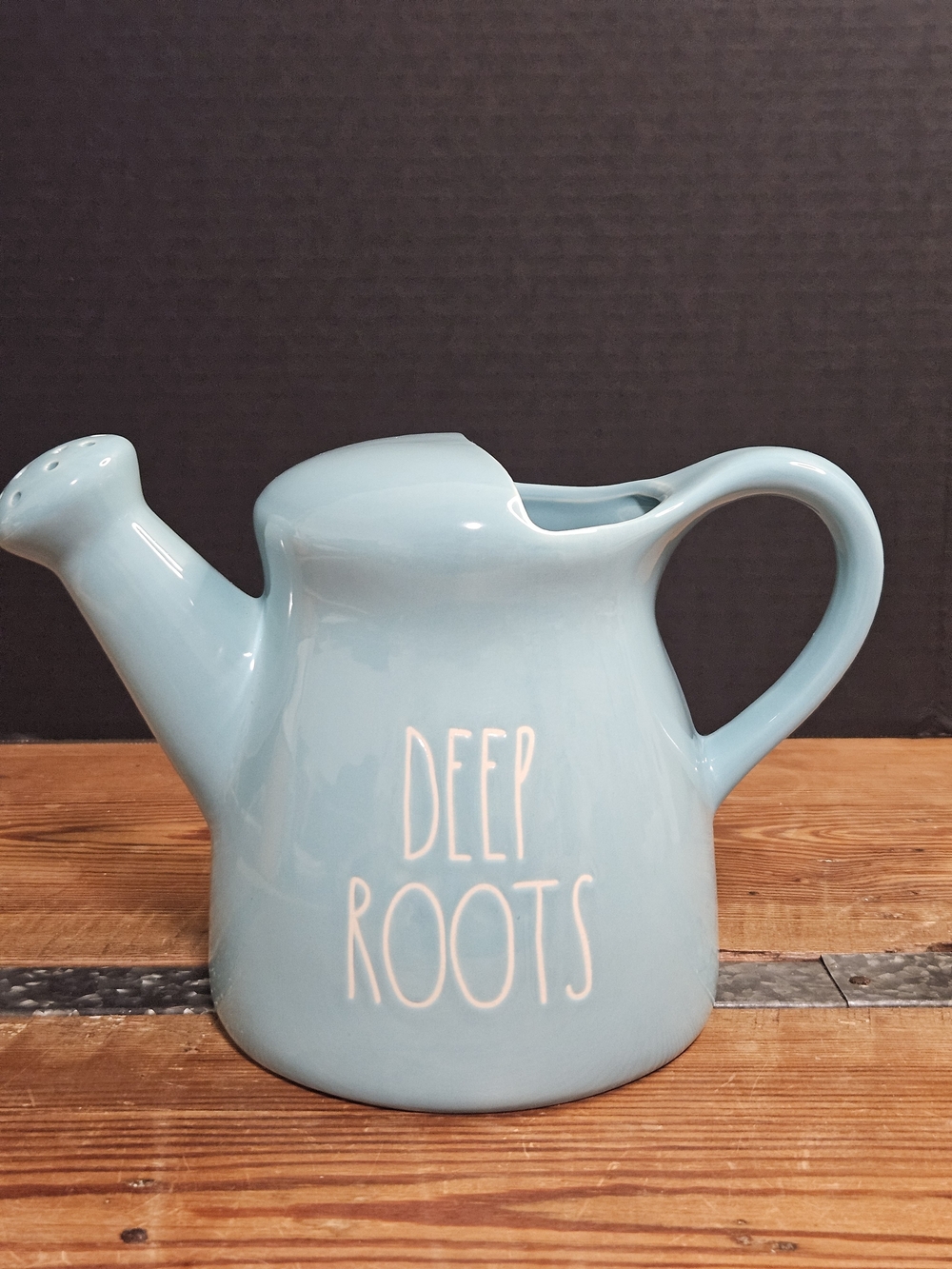 Rae Dunn Deep Roots Ceramic Watering Can - Light Blue